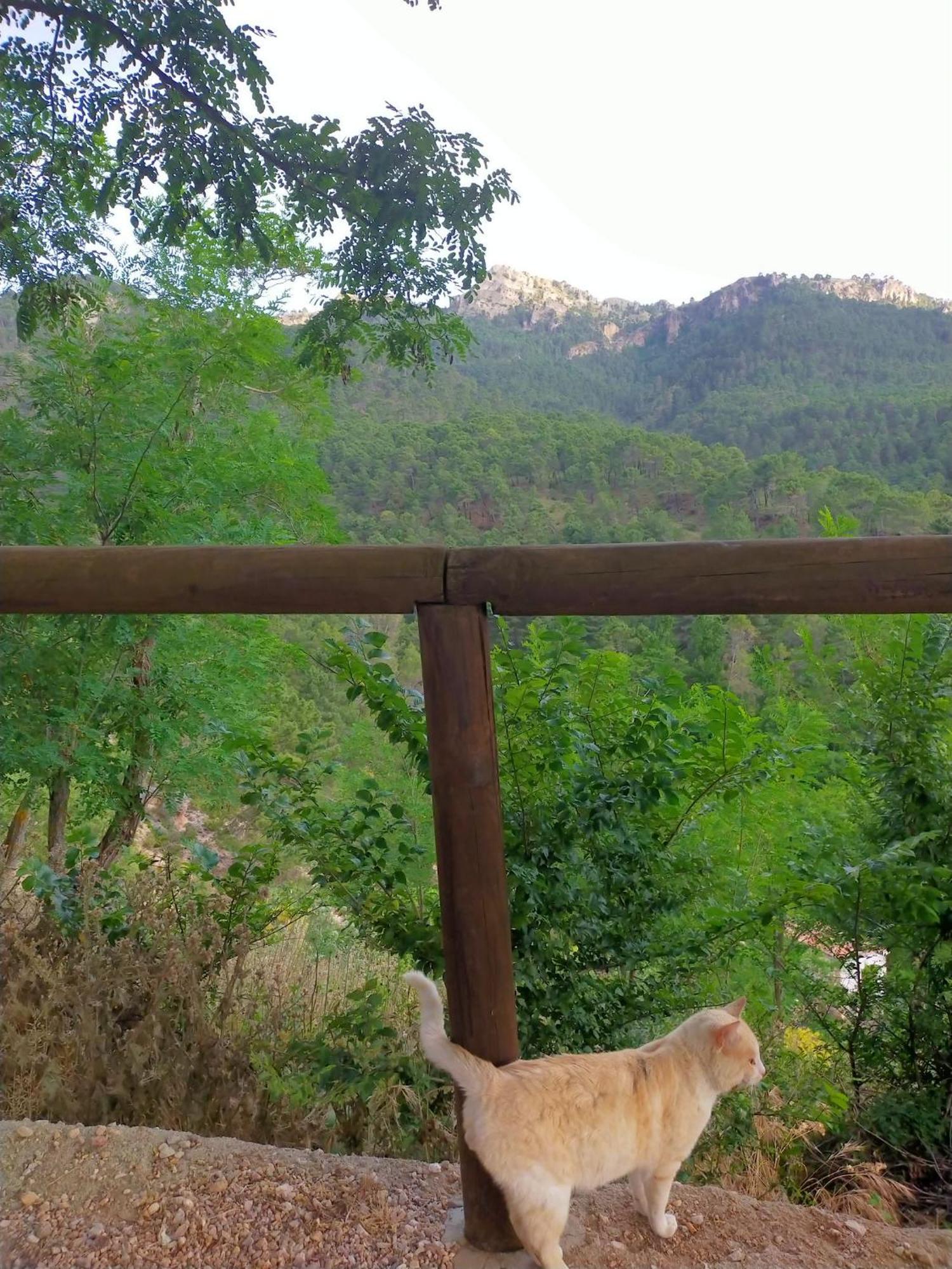 Casa Rural Mi Rincon Exquisito Orcera المظهر الخارجي الصورة